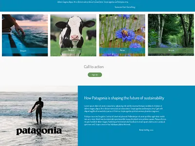 Nature Site brand identity design photography photoshop ux xd