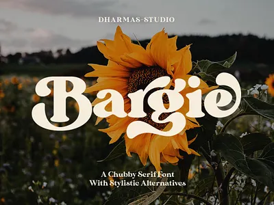 Bargie - Chubby Serif Font branding chubby chubby font chubby serif chubby serif font elegant fonts font design fonts collection logo modern fonts sans serif sans serif font sans serif fonts serif serif font serif fonts typeface typography typography art typography design