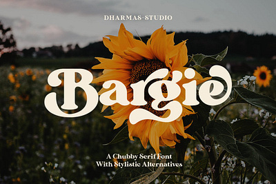 Bargie - Chubby Serif Font branding chubby chubby font chubby serif chubby serif font elegant fonts font design fonts collection logo modern fonts sans serif sans serif font sans serif fonts serif serif font serif fonts typeface typography typography art typography design