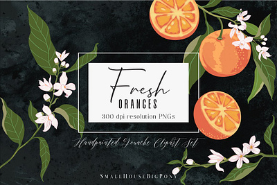 Fresh Oranges Clip art Set art background clip art clipart clipart set cliparts design floral flowers fresh fresh colors fresh design graphic graphic design graphics graphics collection graphics design illustration orange vector