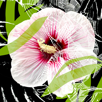 City Flower abstract abstract art botanical city conservation design drawing flowers geometry hibiscus illustration ink interior design nature plants surface design