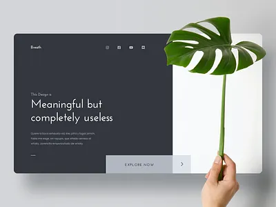 Homepage Concept homepage landing page minimalism minimalist plant webdesign website