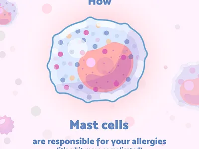 Week14 - Mast cell biology blood cell flat illustration illustration immunology sciart scicomm science vector