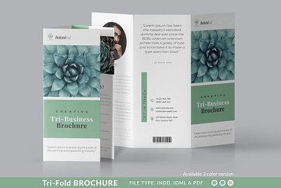 Minimal TriFold Brochure branding brochure brochure design business catalogue clean download elegant magazine modern portfolio template trifold