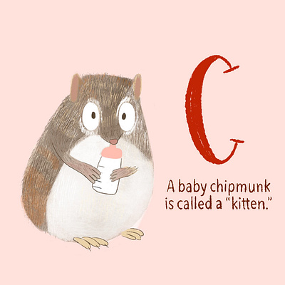 Chipmunk baby animals childrens book childrens illustration chipmunk illustration