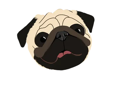 Pipo pug design dog dog illustration doggy illustration pug