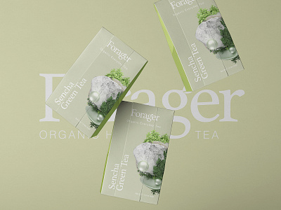 Forager l Organic Everyday Tea adobe art branding cinema4d health layout logo logo design octane packaging packaging design tea tpye