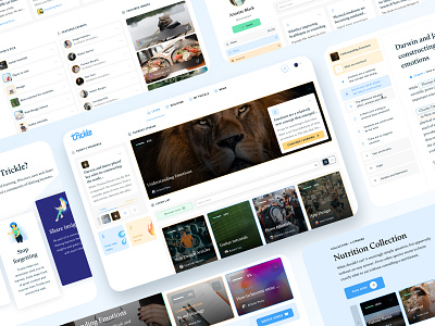 Trickle.app - Make lifelong learning effortless app cards clean courses dashboard education learn learning lesson online platform progress reader table of contents teach timeline ui ux
