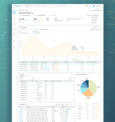 Monitoring Dashboard for a Partitioned Table big data dashboard data analysis data visualization dataviz enterprise app enterprise ux product design user experience design