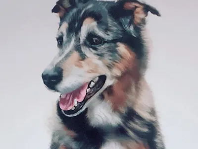 Nyla dog dog illustration dogart doggy dogs family pet illustration digital pet procreate pup