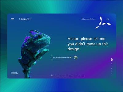 Chamelos (Variance) adobe adobe xd african animals august branding chameleon colors creative design designer dribbble dribbble best shot love monday sunday ui uiux design web website