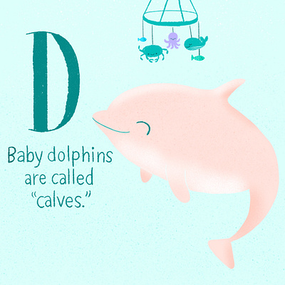 Dolphin baby animals babypink cute animals cute art cute illustration digital illustration dolphins illustration