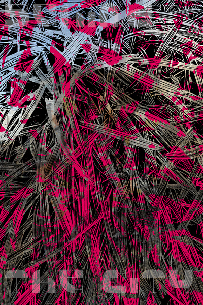 July 27th Day 2 black red vector vector art