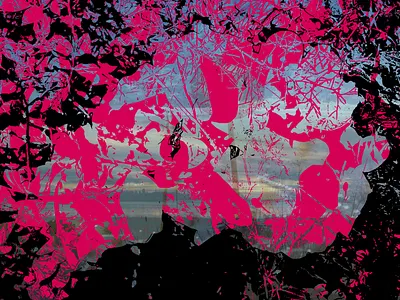 Delusion black delusion pink vector vector art