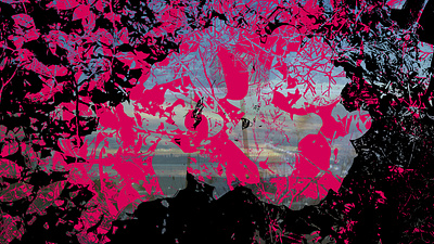 Delusion black delusion pink vector vector art