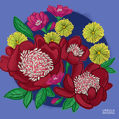 Floral Excercise II flowers illustration nature procreate