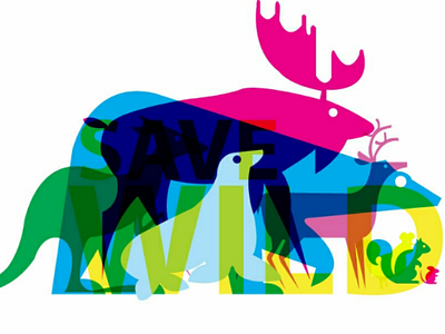 Save Wildlife animals bear deer hen kangaroo rat seal squirrel wild wildlife