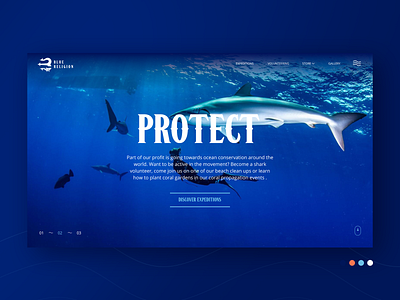 Blue Religion - Ocean adventures booking website booking coral figma ocean photoshop reef sea shark trip ui underwater ux volunteer website