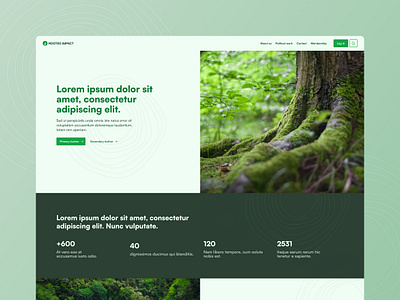 ROOTED IMPACT design ui web webdesign website