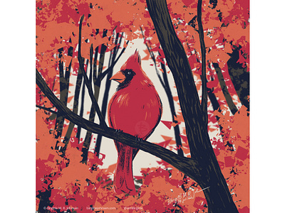 Red cardinal animal art autumn autumn colours bird bird illustration cute digital art digital illustration fall fall colours huely huely challenge huely2020 illustration limited colour palette limited colours red cardinal