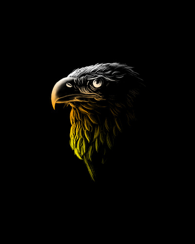 Predator Animals Project No.3 animals debut design digital drawing digitalart digitalpaiting eagle gradient illustration predators wildlife