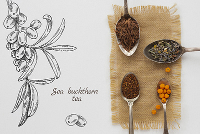 sea buckthorn art berries dribble hand drawn illustration ink inspiration lines package paper pen pen and ink pencil plant scetch tea texture