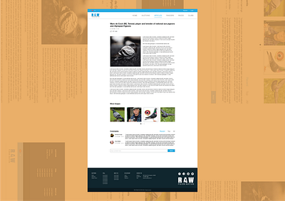 Article Page clean clean ui design flat ui web webdesign website