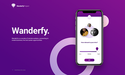 Professional connections Mobile App: Wanderfy app application business connection contacts interface ios iphone mobile ui ui design ux uxui