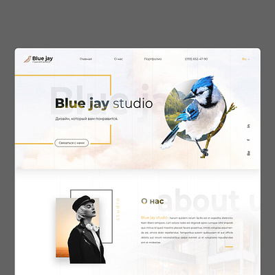 Website for Blue jay studio art design minimal ui ux web website