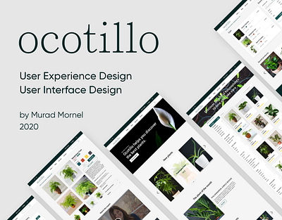 "Ocotillo" User Experience Case Study azerbaijan baku design user experience userinterface ux webdesign website design