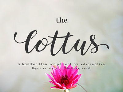 Free | the lottus branding brush font calligraphy classic elegant fashion font font display hand lettering handwritten script signature font typeface typography
