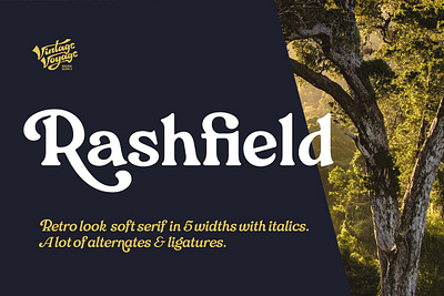 Rashfield Font Family branding design font family font family selection fonts logos luxury packaging prints professional project retro font retro fonts sans serif sans serif typeface simple text vintage font vintage fonts web design