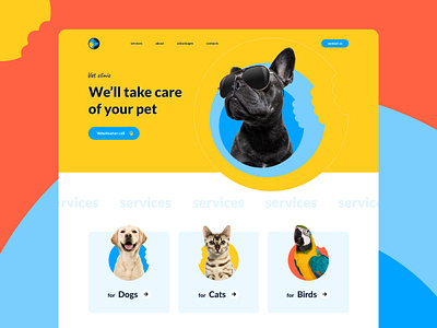 Vet clinic design minimal typography ui web website