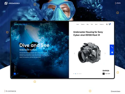 Dive and Sea Case branding creative design unique design web design website