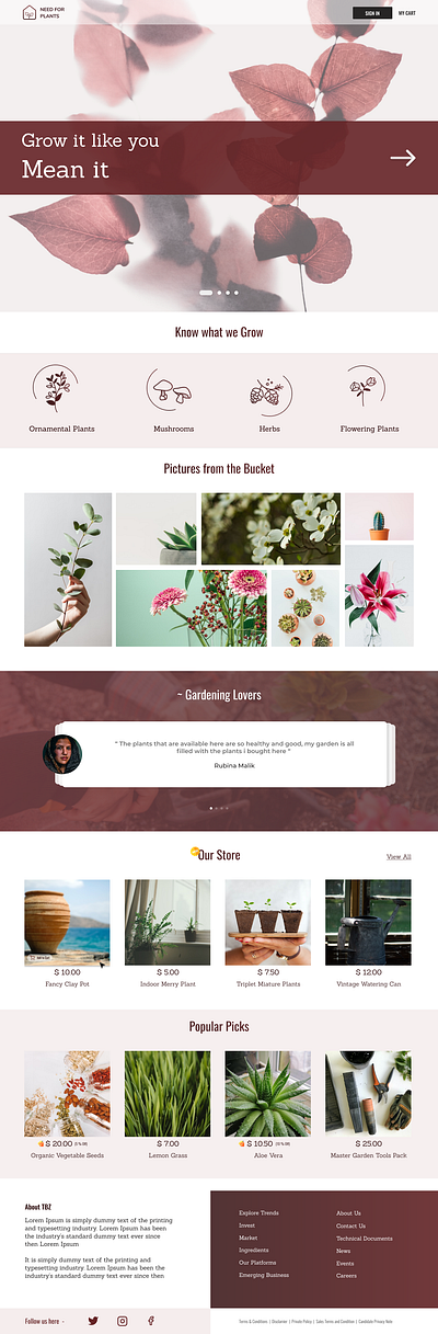 Need for plants - Homepage banner creative creativity figma figma design homepage plants ui ui ux ui design web web design webdesign webpage