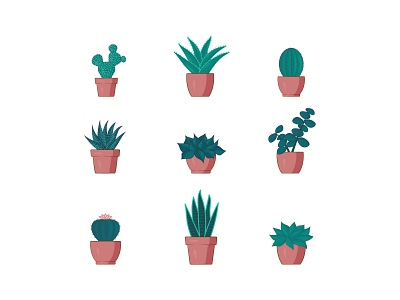 Cacti and Succulents cacti cactus cute green icon illustration illustrator plants succulents