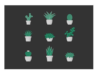 Cacti and Succulents aloe cacti cactus cute green houseplants illustration illustrator plants snake plant succulents