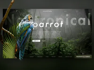 Animal Of The Day animals design desktop green interface jungle nature ui web webdesign website