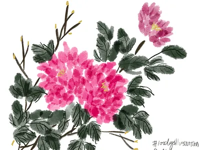 Peony in Digital Ink-painting 100dayschallenge 100daysofillustration illustration procreate
