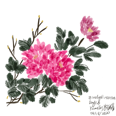 Peony in Digital Ink-painting 100dayschallenge 100daysofillustration illustration procreate