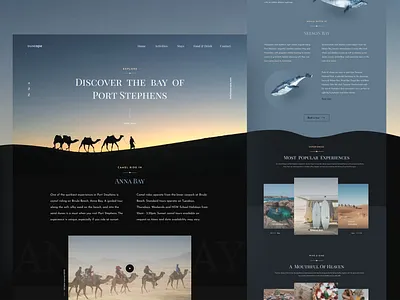 Discover Port Stephens activities adventure clean ui experience explore food food and drink minimal surf travel travel agency ui design uidesign ux design uxdesign web design webdeisgn webdesign website website design