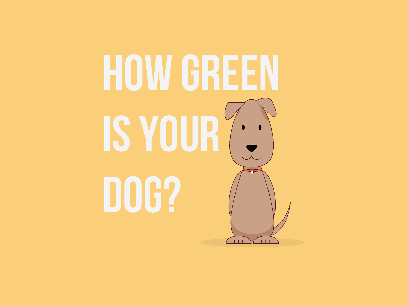 Impact Designs: The Ecological Footprint of a Dog graphic design infographic