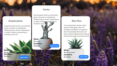 Info Card app dailyui dailyuichallenge design ui ux web