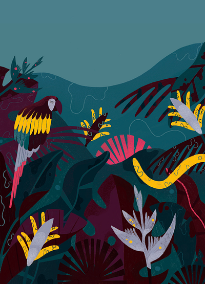 Bossa Nova design creative design editorial illustration