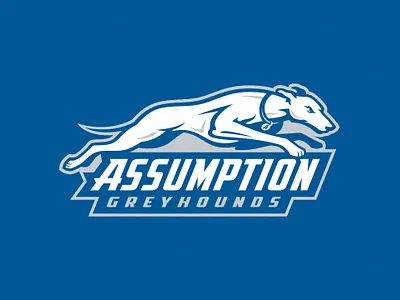 Greyhounds assumption branding college design dogs greyhounds identity illustration mascot team