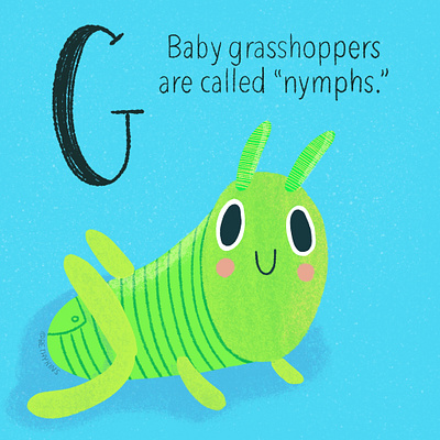 Grasshopper! baby animal baby animals children book illustration childrens book childrens books childrens illustration cute cute illustration illustration illustration digital insect insects procreate procreate art