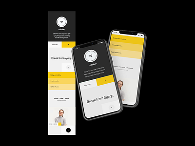 Coliniar — Digital & Human agency break clean coliniar from inspiration interface legacy mobile studio ui web website