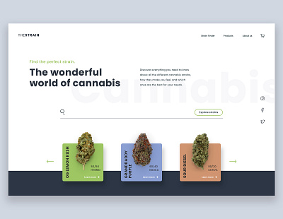 The Strain Cannabis Concept cannabis cannabis design concept ui website