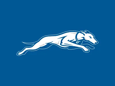 Dog branding design dog esport football greyhounds illustration logo mascot sport team