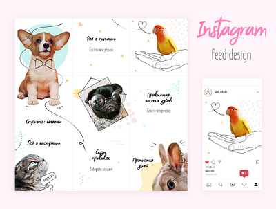 Instagram feed design clinic design feed instagram pet post posts social media vet veterinary webdesign